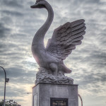 诗巫的象征——天鹅，Sibu Representive——Swan