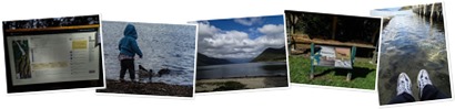 View album