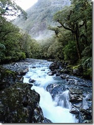 Milford Sound