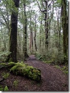 Short Kepler Track