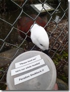 Te Anau Wildlife Center