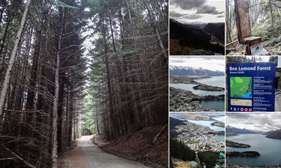 View album
